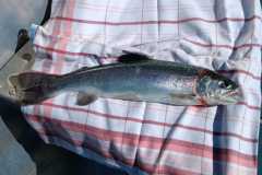 IMG-20250601-WA0002